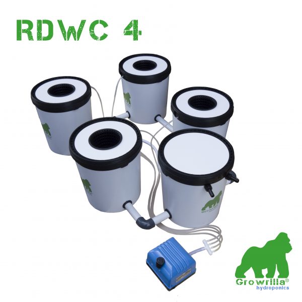 Sistema Idroponico RDWC 4 Growrilla
